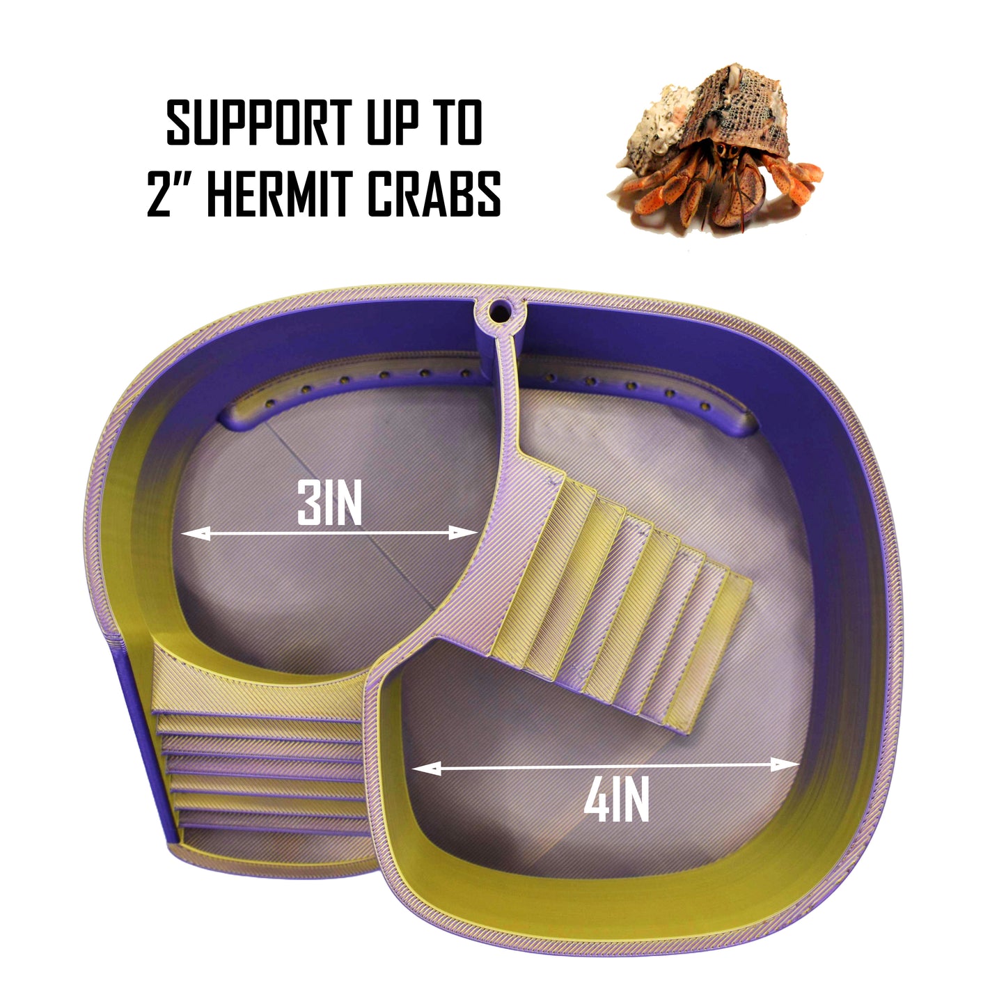 Dual Zone Bubbler Hermit Crab Swimming Pool