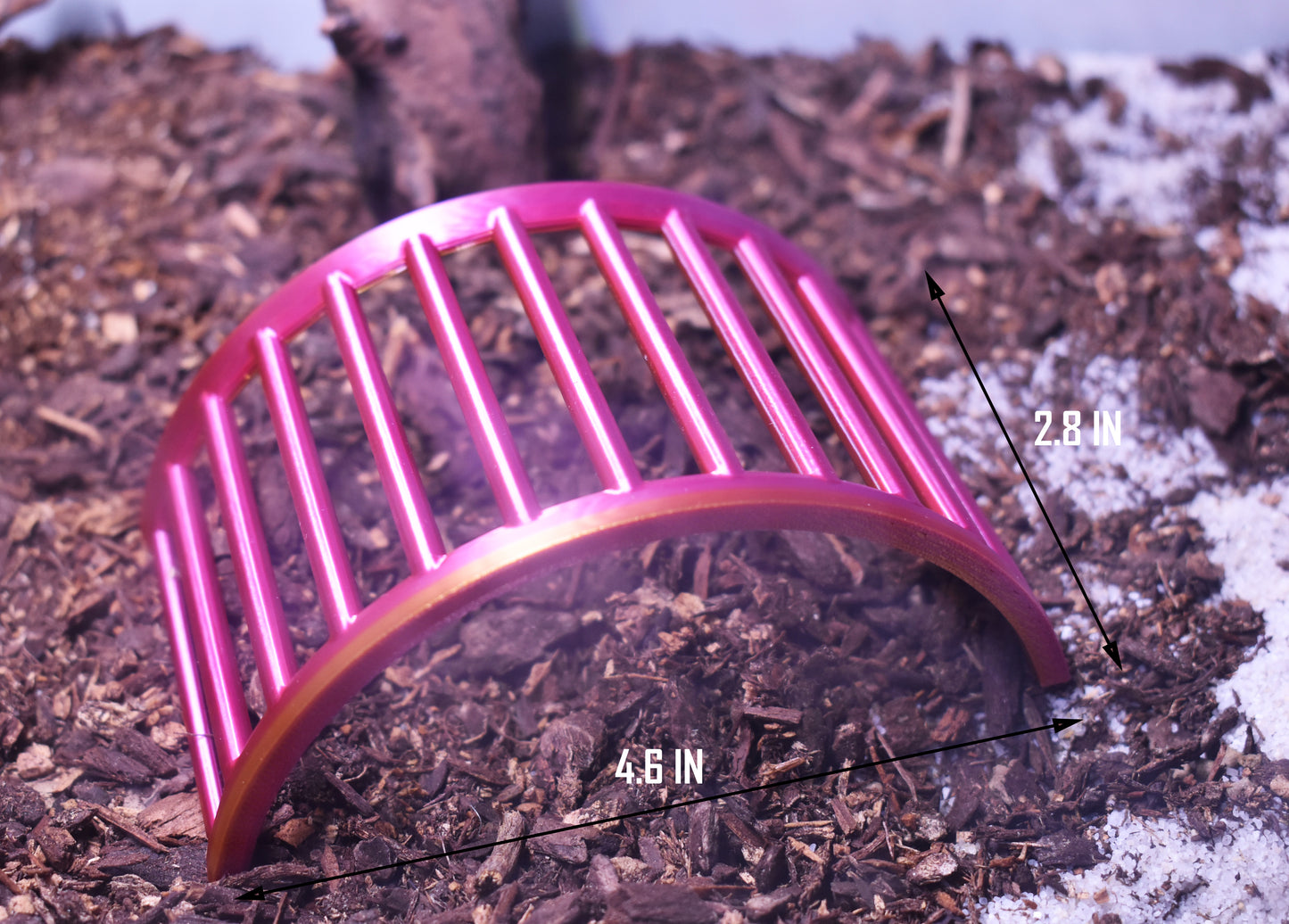 Hermit Crab Climbing Bridge