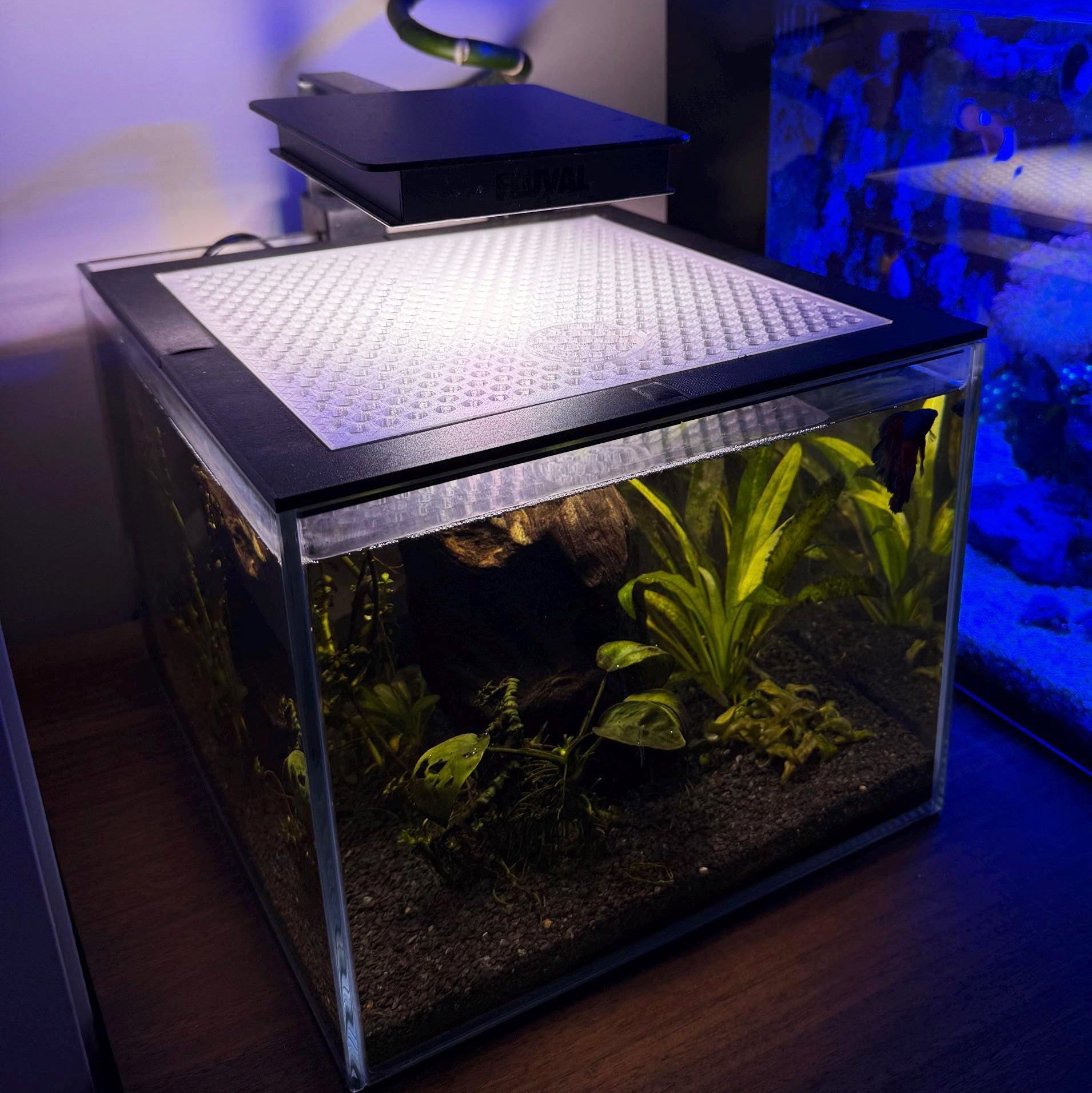 Custom Lid For Nano Fish Tank 20-23 Inches
