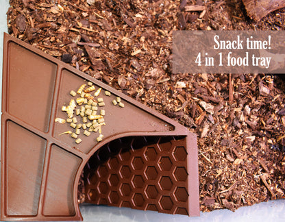 Underground Hermit Crab Tunnel