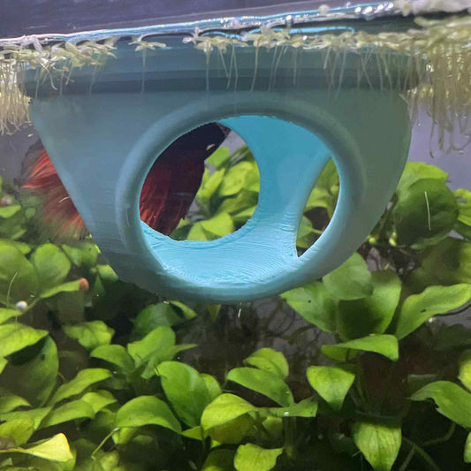 Floating Betta Tube