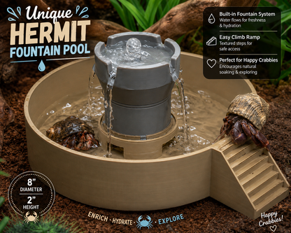 Hermit Crab Fountain Pool with Built-In Climbing Ramp