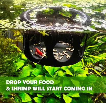 Floating Gazebo Shrimp Feeder