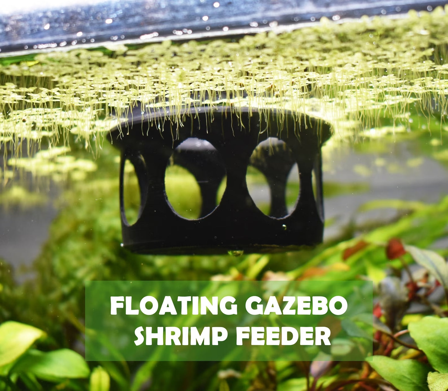 Floating Gazebo Shrimp Feeder