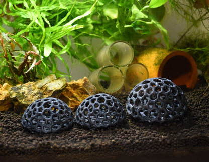 Aquarium Shrimp Dome Decor. Shrimp Home Hide Out, Moss Holder, Aquarium Dome, Shelter for Shrimps to Hide, Aquarium Safe Plastic.