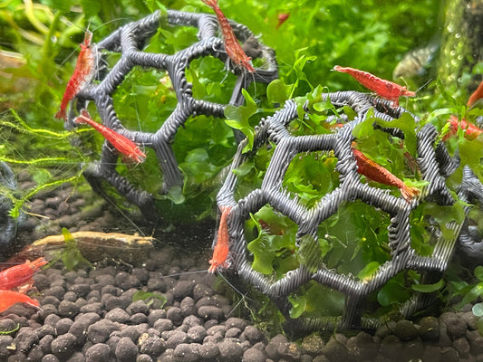 Aquarium Moss Holder (Pack of 3)