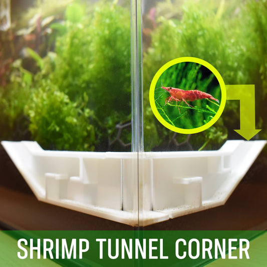 Underground Corner Shrimp Tunnel - Two Pieces Connection