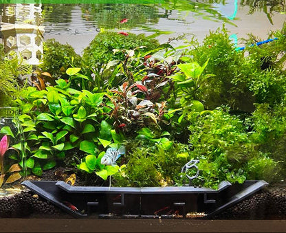 Extended Underground Shrimp Tunnel