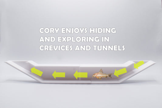 Extended Underground Tunnel For Cory Chilling