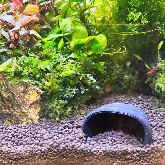 Shrimp Shelter For Aquarium Fish Tank