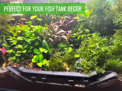 Extended Underground Shrimp Tunnel