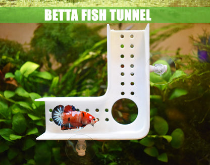 Betta Fish Training Set, Betta Tunnel - Olympic Ring - Mirror, Pack of 3