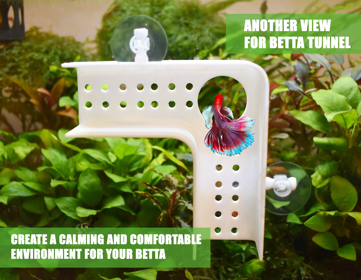 L Shape Betta Play Tunnel with Suction Cups