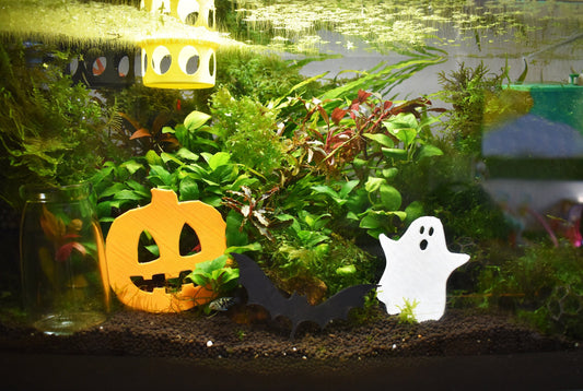 Halloween Decoration For Aquarium - Ghost, Pumpking and Bat