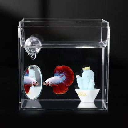 Betta Fish Training Set, Betta Tunnel - Olympic Ring - Mirror, Pack of 3