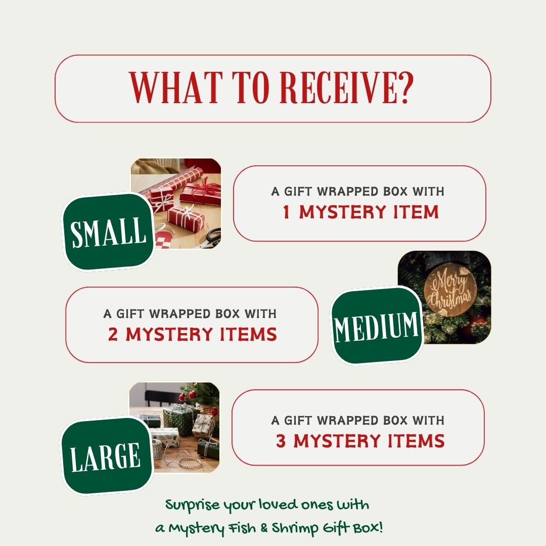 Mystery Holiday Gift Box For Aquarium. Fish & Shrimp Box. Secret Box For Gifting. Wrapped Gift Box For Holiday.