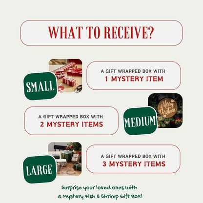 Mystery Holiday Gift Box For Aquarium. Fish & Shrimp Box. Secret Box For Gifting. Wrapped Gift Box For Holiday.