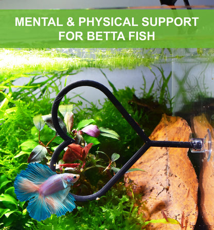 Valentine's Day Olympic Ring For Betta Fish Training