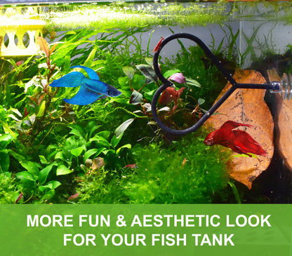 Valentine's Day Olympic Ring For Betta Fish Training