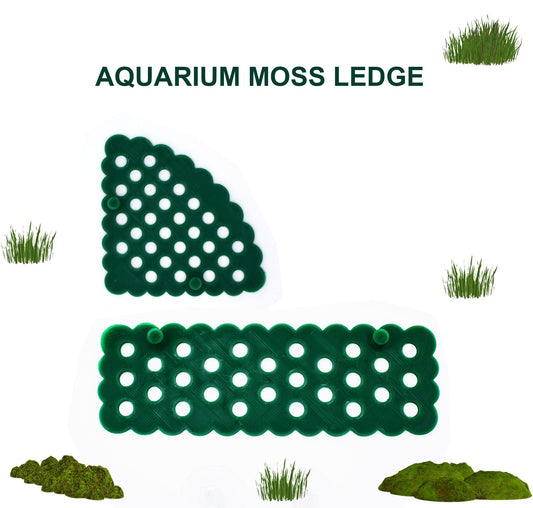 Aquarium Moss Ledge Holder