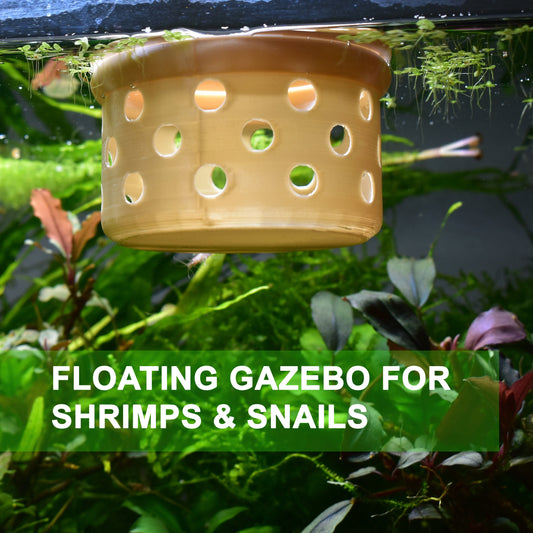 Floating Feasts Gazebo for Shrimp and Snail - Benefits of Targeted Feeding