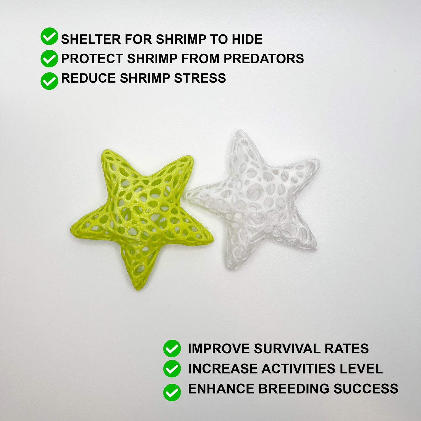 Aquarium Starfish Shrimp Dome