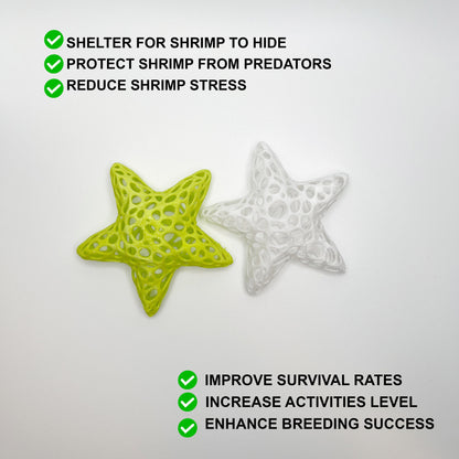 Aquarium Starfish Shrimp Dome