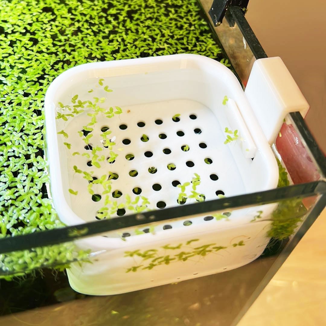 Aquarium Stable Water Change Diffuser