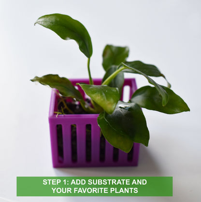 Aquarium Mini Plant Holders with Suction Cup