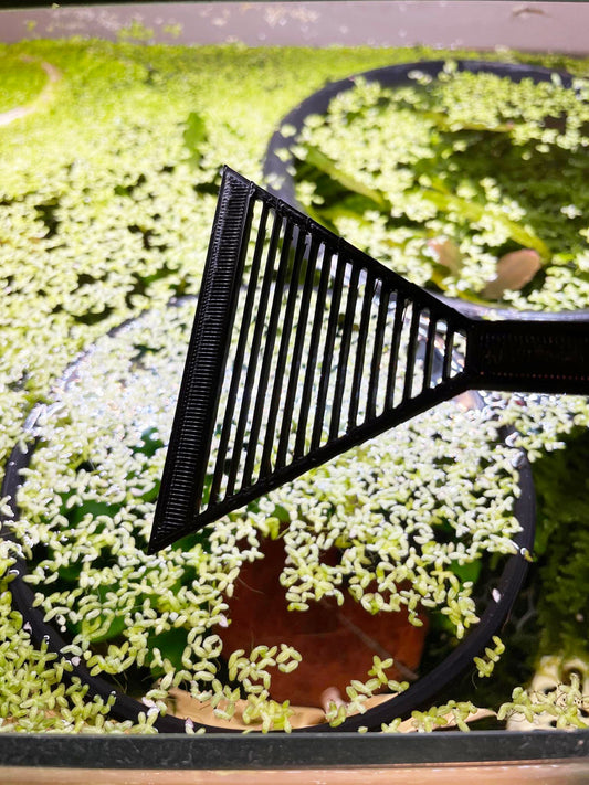 Duckweed Removal Spatula
