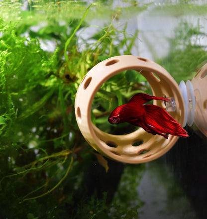 Betta Sleeping & Relaxation Tube. Hideout Tube For Betta to Chill and Sleep. Fun Activities For Your Fish. Betta Hammock. Fish Tank Decor.