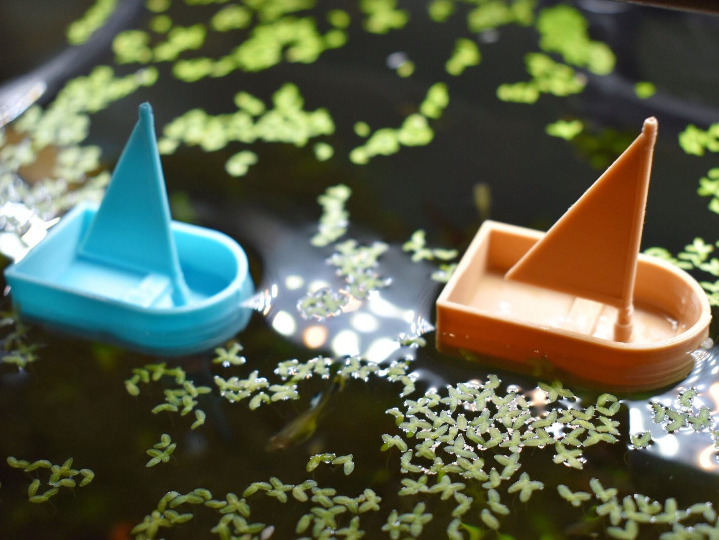 2 Mini Floating Sailboats