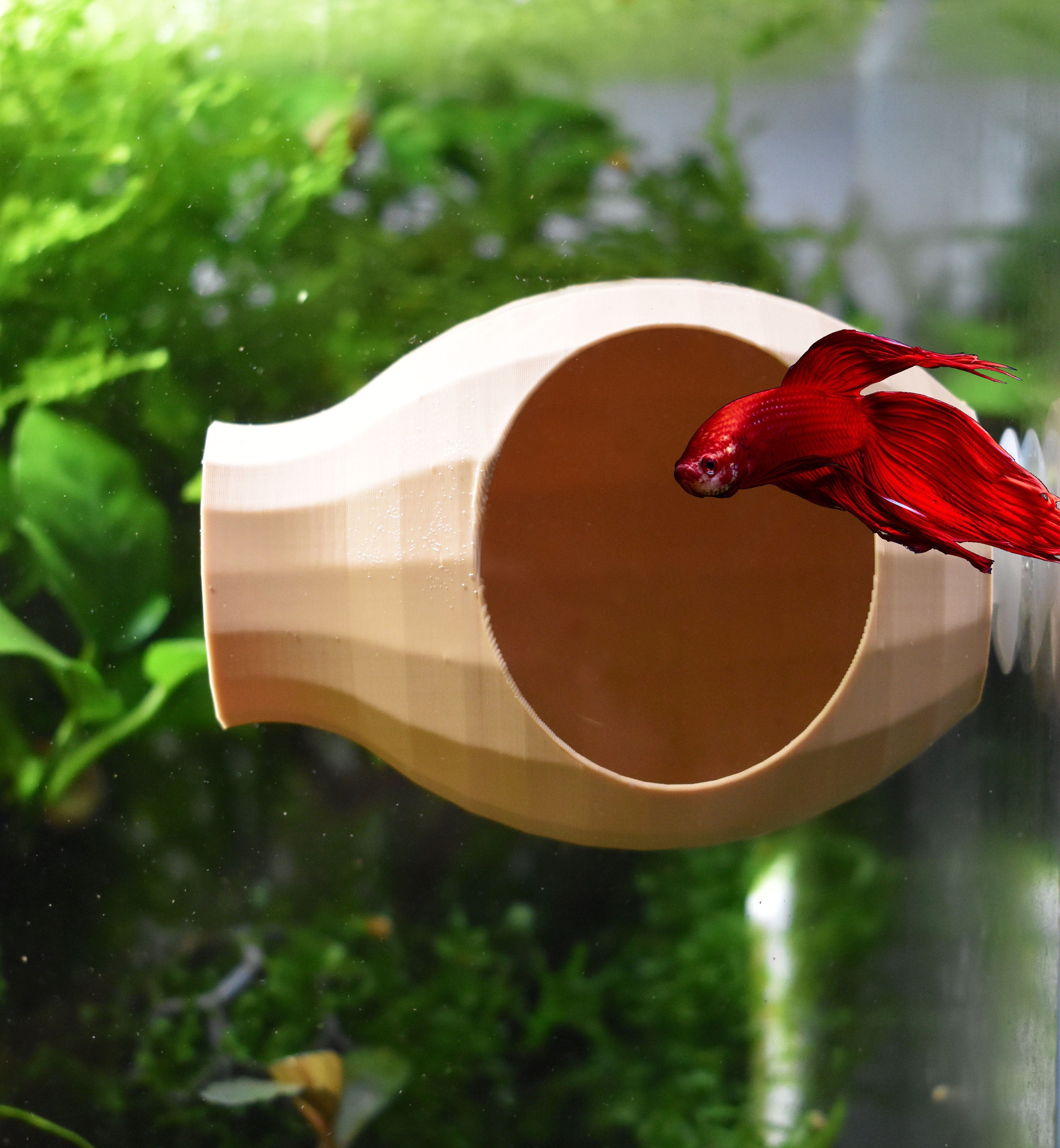 Aquarium Cave 3-Piece Tank Accessories Set - Floating Hammock, Tunnel & Decor For Rest, Play & Breeding Betta Fish Aquarium Cave 3-Piece Tank Accessories Set - Floating Hammock, Tunnel & Decor For Rest, Play & Breeding Betta Fish