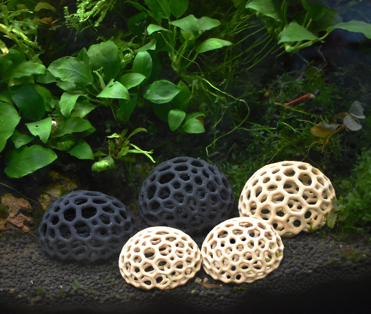 Aquarium Shrimp Dome Decor. Shrimp Home Hide Out, Moss Holder, Aquarium Dome, Shelter for Shrimps to Hide, Aquarium Safe Plastic.