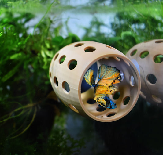 Betta Sleeping & Relaxation Tube