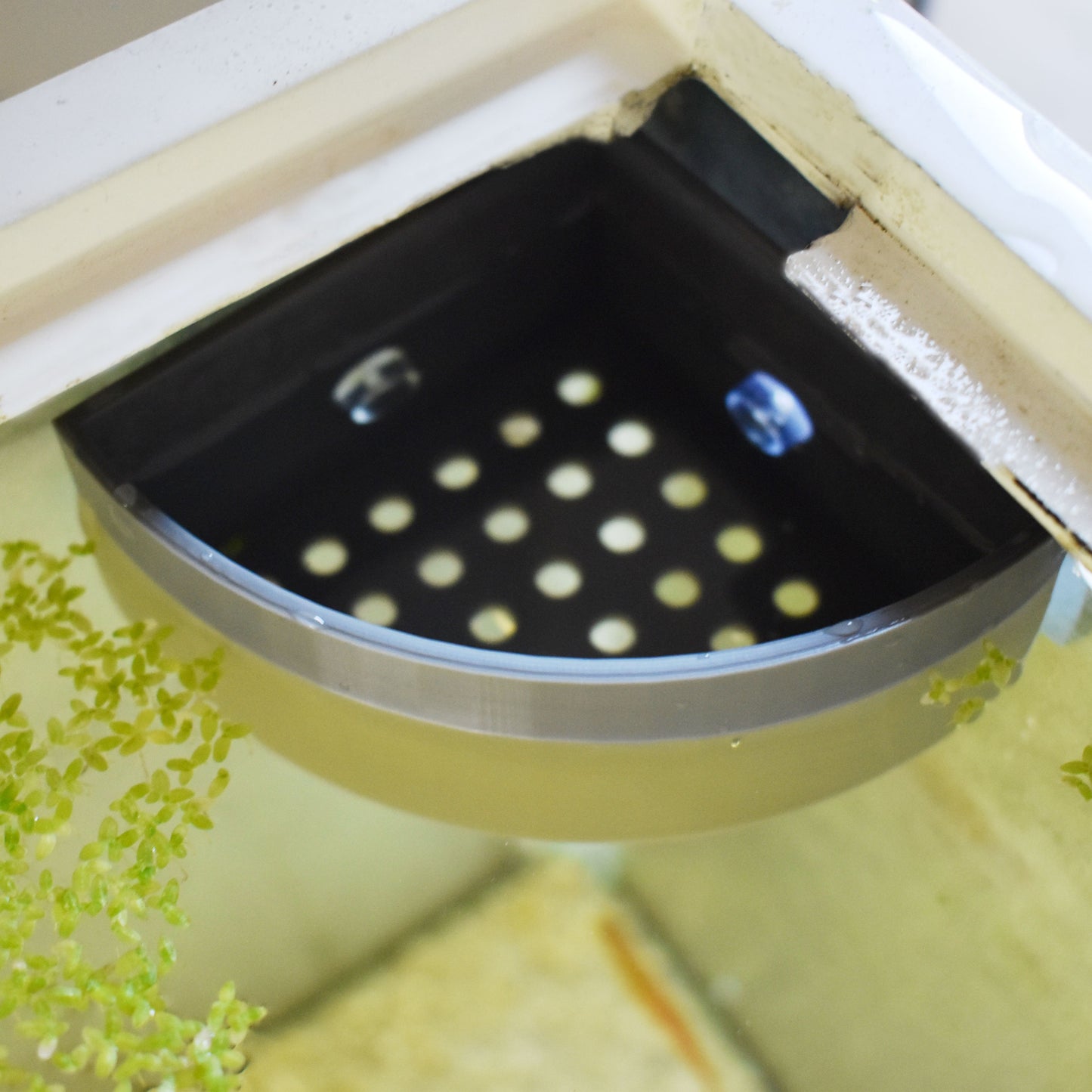 Universal Aquarium Corner Water Diffuser