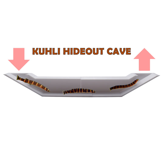 3D Printed Kuhli Cave Tunnel. Extended Underground Tunnel For Kuhli Loach Lover. Corner Tunnel For Kuhli Loach. Fast Shipping from Canada.