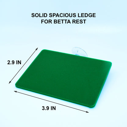 Large Rest Ledge For Betta Relaxation