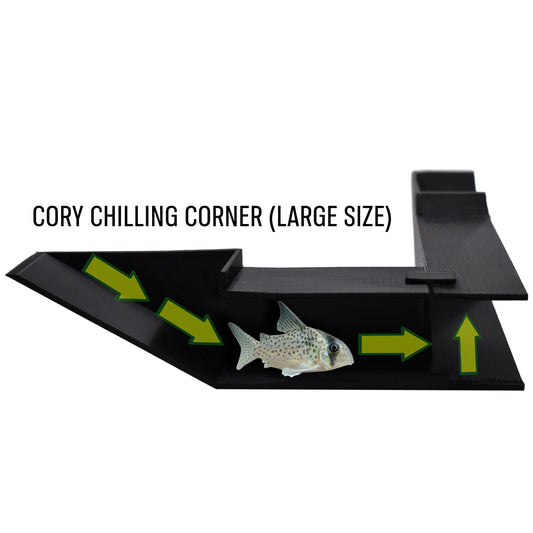 Cory Chilling Corner Underground Tunnel