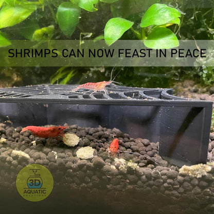 Spider Shrimp Guard to Prevent Predator Fish