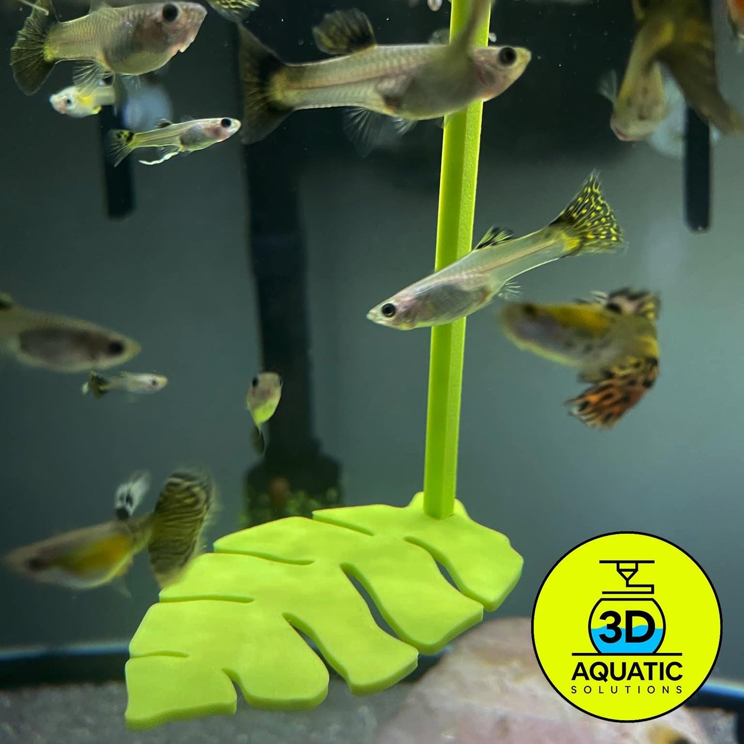 Active Betta Leaf Hammock with Floating Ring. 3D Printed Betta Resting Leaf. Betta Loop Ring for Feeding Time, 2-in-1 Betta Ring. Fast Ship.