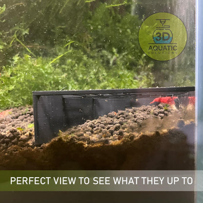 Spider Corner Shrimp Guard To Prevent Predator Fish. Halloween Theme Shrimp Protector Guard to Keep Peace in Shrimp and Betta Tank.