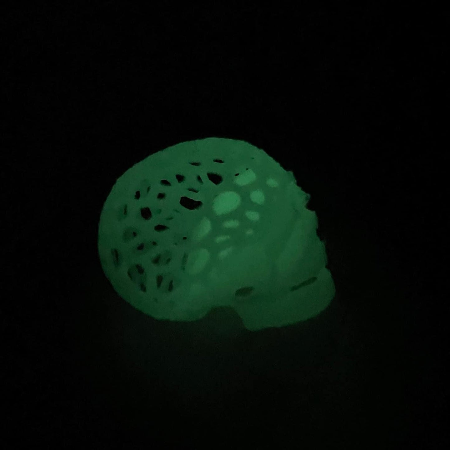 Halloween Skull Aquarium Decor