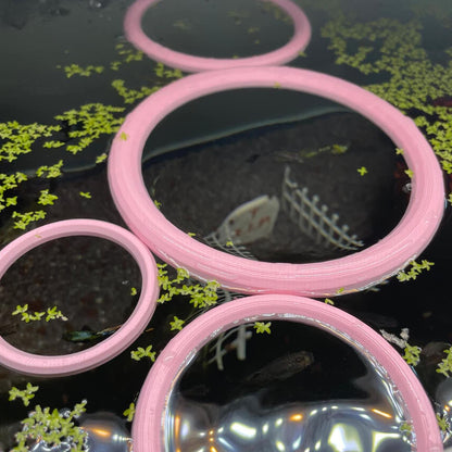 Aquarium Fish Feeding Ring