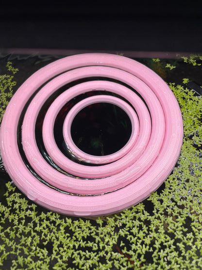 Aquarium Fish Feeding Ring