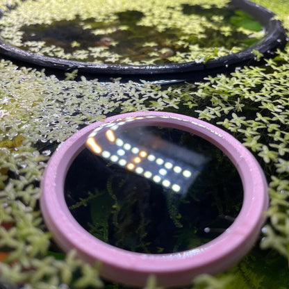 Aquarium Fish Feeding Ring