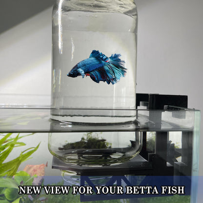 Inverted Betta Tank Holder. Panoramic View for Betta Fish.
