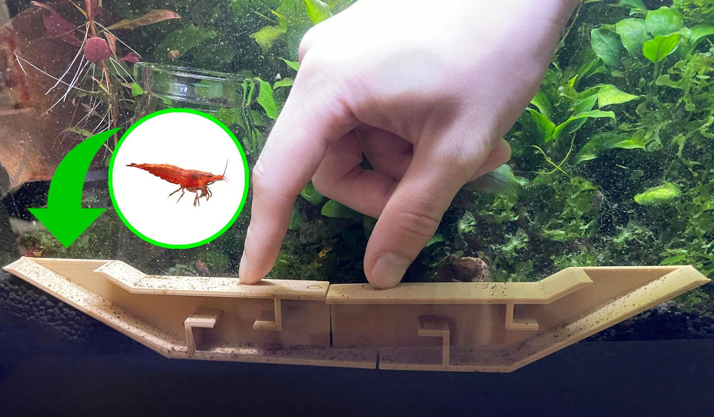 Extended Underground Shrimp Tunnel