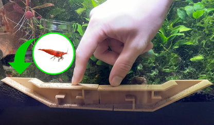 Extended Underground Shrimp Tunnel