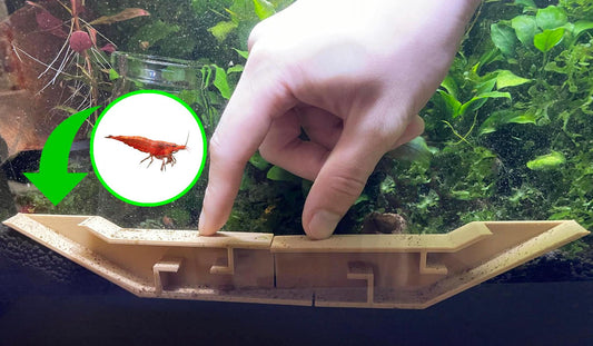 Extended Underground Shrimp Tunnel. Long Shrimp Tunnel For Fish Tank Decor. Complete with an Exquisite VIP Rooms. Fast Shipping from Canada